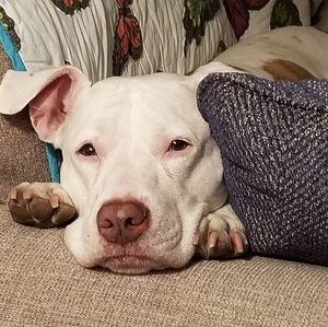 Meet your Posher, Nils